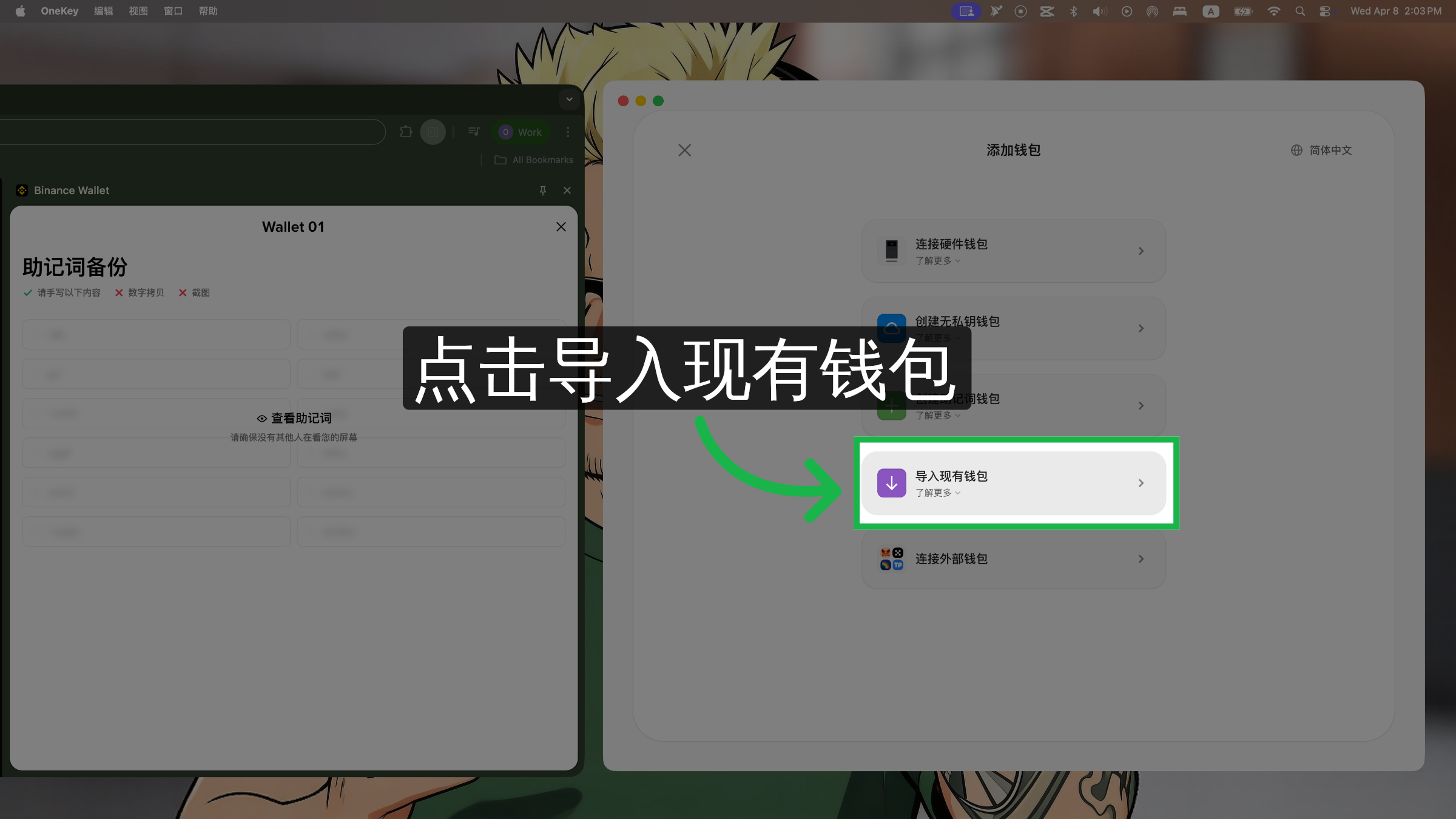 访问现有钱包选项