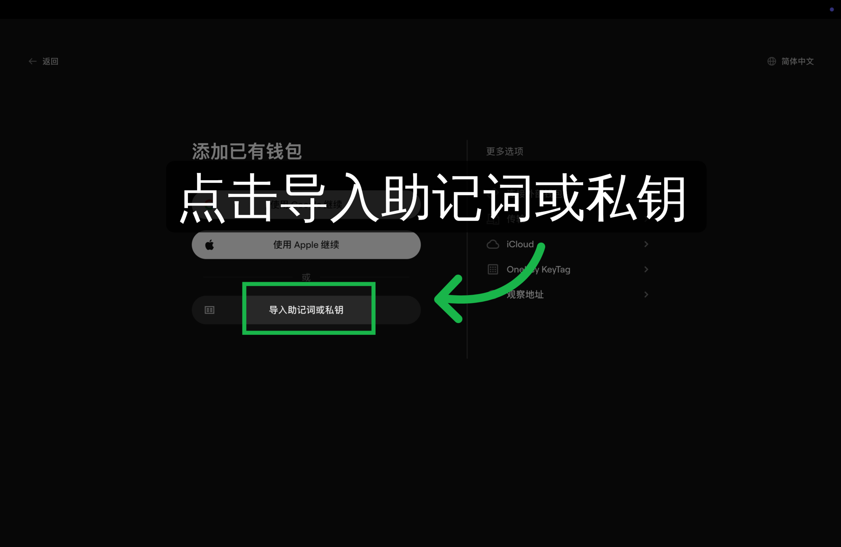 选择导入助记词或私钥