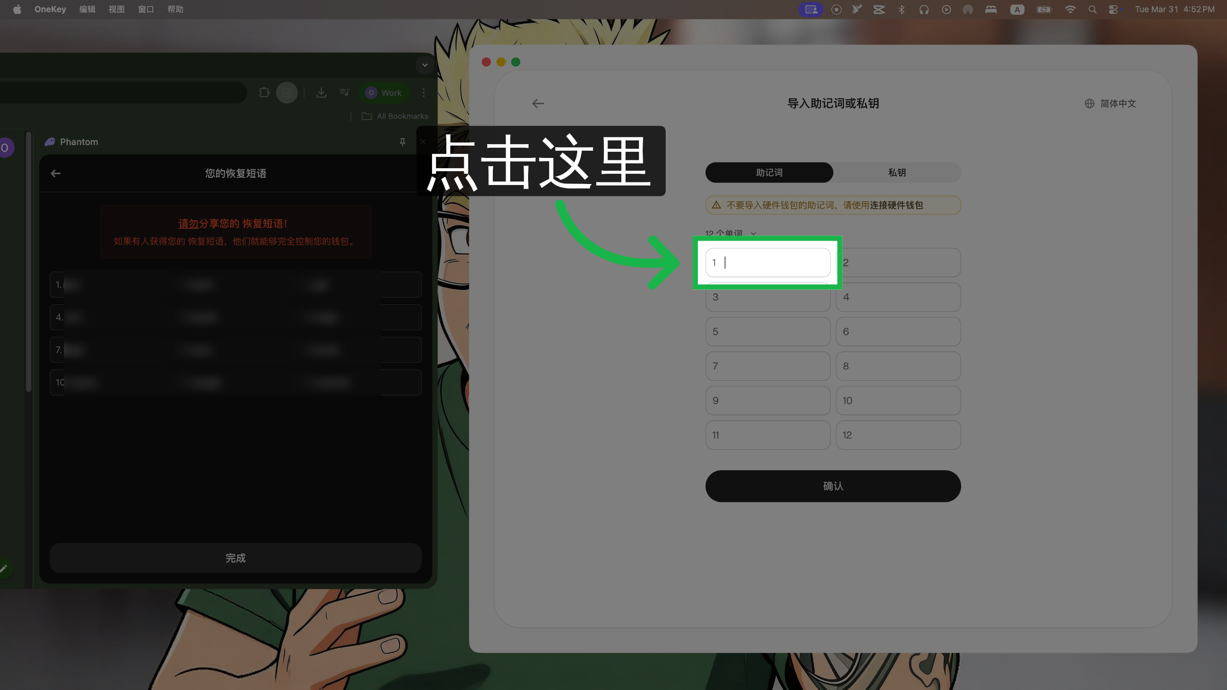 在输入页面输入 Phantom 钱包助记词